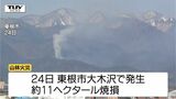 発生から9日目で鎮火確認 東根市大木沢の山林火災 およそ11ヘクタール焼ける(山形)|TBS NEWS DIG