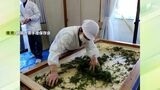 新年初揉みで仕上げた「初揉茶」を贈呈　静岡市の茶手揉保存会「観光としても注目」伝統の技の継承に期待感　|　静岡のニュース | SBSNEWS | 静岡放送