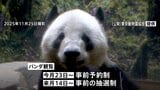 もうすぐ「お別れ」上野の双子パンダ「シャオシャオ」「レイレイ」　返還発表から初めての週末は早朝から大行列　23日からは事前予約制・その後は抽選制に|TBS NEWS DIG