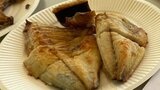 「海の日」海洋の現状を知るイベント開催 「磯焼けの主要因とされるアイゴを食べて理解深めて」 大分 | 大分のニュース|OBS NEWS|大分放送