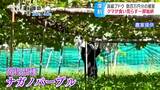 一部始終を撮影　クマが高級品種「ナガノパープル」食い荒らす　被害額は数百万円に|TBS NEWS DIG