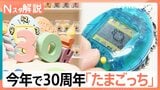「死なせちゃった」あの日の記憶が蘇る、誕生30年「大たまごっち展」【Nスタ解説】|TBS NEWS DIG