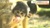 ひんやり!リスザルやゾウも 「アフリカンサファリ」動物の暑さ対策 大分 | 大分のニュース|OBS NEWS|大分放送