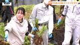 復興の一助に 記録的大雨で被災した酒田市大沢地区 交流人口増加のため "マコモダケ" を育てる試み始まる(山形) | 山形のニュース│TUYテレビユー山形