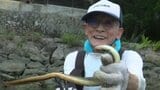 カニやエビを食べて育つ絶品天然ウナギ!愛媛・岩松川で伝統の「石ぐろ漁」が本格化|TBS NEWS DIG