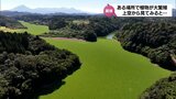 増殖しすぎてドローンで全体を映せない 数ヶ月でダムの水面を覆いつくした緑の正体は「特定外来生物」 | MRTニュース | MRT宮崎放送