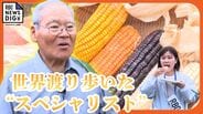 世界を飢餓から救うトウモロコシを! 研究一筋の農学博士、田場佑俊さん 故郷の沖縄で台風と害虫に強い品種を開発 | 沖縄のニュース|RBC 琉球放送