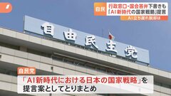 「AI新時代の国家戦略」自民党が提言案とりまとめ　行政窓口での書類チェックや“国会答弁の下書き”作成など| TBS CROSS DIG with Bloomberg