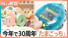 「死なせちゃった」あの日の記憶が蘇る、誕生30年「大たまごっち展」【Nスタ解説】| TBS CROSS DIG with Bloomberg