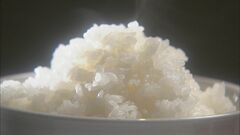 10月のコメ「相対取引価格」2万3820円　過去最高を更新　去年の1.5倍| TBS CROSS DIG with Bloomberg