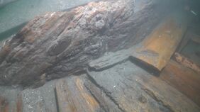 「元寇の船」3隻目を確認 長崎県松浦市・鷹島沖の海底 保存状態の良く今後の調査に期待|TBS NEWS DIG