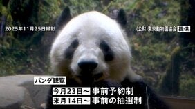 もうすぐ「お別れ」上野の双子パンダ「シャオシャオ」「レイレイ」　返還発表から初めての週末は早朝から大行列　23日からは事前予約制・その後は抽選制に|TBS NEWS DIG