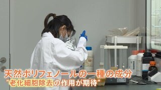 3日分で約4万円のサプリ登場　中国で広がる“長寿ビジネス”に街では懐疑的な声も… 人への効果や安全性の検証に課題| TBS CROSS DIG with Bloomberg