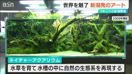水景クリエイター” 故・天野尚氏が創り出したアート『ネイチャー