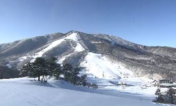 【速報】スキー場で雪崩…子ども含む5人巻き込まれる…そのうち4人がけが　スキー場上部の上級者コース付近で発生　長野・新潟県境のスキー場|TBS NEWS DIG