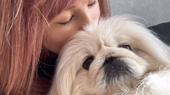 【がん闘病】梅宮アンナさん「ペキまみれ」長毛種の犬たちと癒やしの時　「リンパ浮腫にならない様に」|TBS NEWS DIG