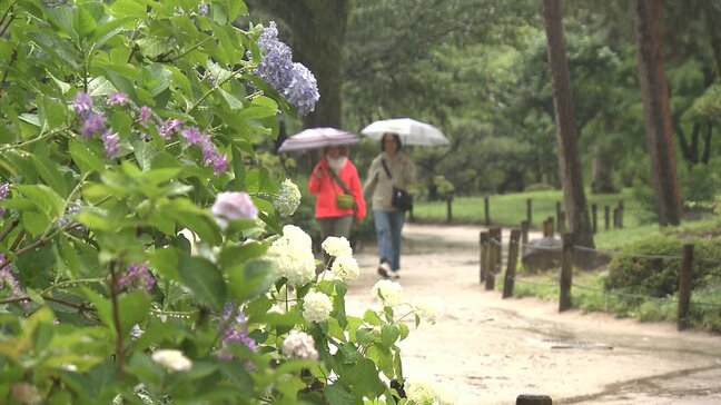 関東甲信いよいよ梅雨入り　横浜では“降れば降るほどお得”な割引きキャンペーン始まる！雨で遠のく客足確保の秘策に！？|TBS NEWS DIG