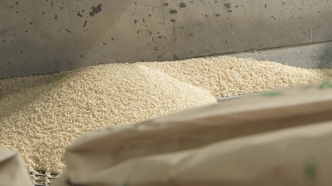 長野市の消費者物価指数は４６か月連続で前年同期比上回る　コメ含む穀類は２３％の上昇|TBS NEWS DIG