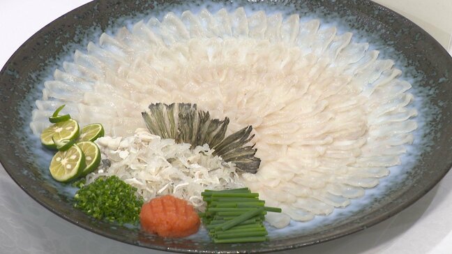 エサに酒かす・ほろ酔いシリーズ第４弾トラフグ…ブランド名は「酔虎」　１２日から販売開始　山口|TBS NEWS DIG