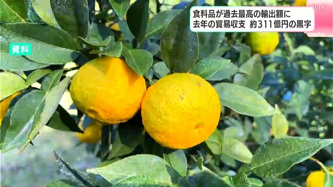 食料品が過去最高の輸出額に 海外のバイヤーとの地道な商談などが成果につながったか 2024年の貿易収支・約311億円の黒字(高知県)|TBS NEWS DIG