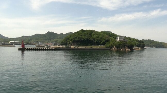 過疎高齢化が進む島の畑で「おかやま元気！集落応援団」登録企業が草刈り【岡山・白石島】|TBS NEWS DIG
