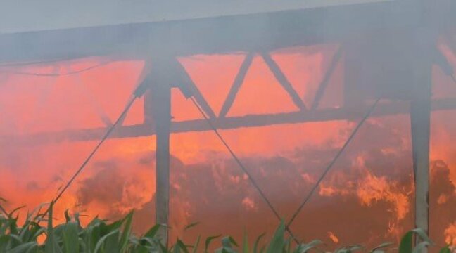 【速報・続報追記あり】「牛舎が燃えている」青森県むつ市田名部で火災発生 消防による消火活動続く|TBS NEWS DIG