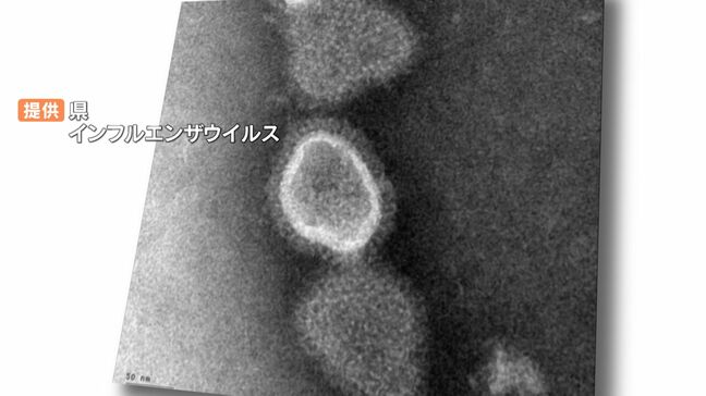 インフルエンザ患者数 大分県で4週連続増加 1医療機関あたり「69.67人」今季最多|TBS NEWS DIG