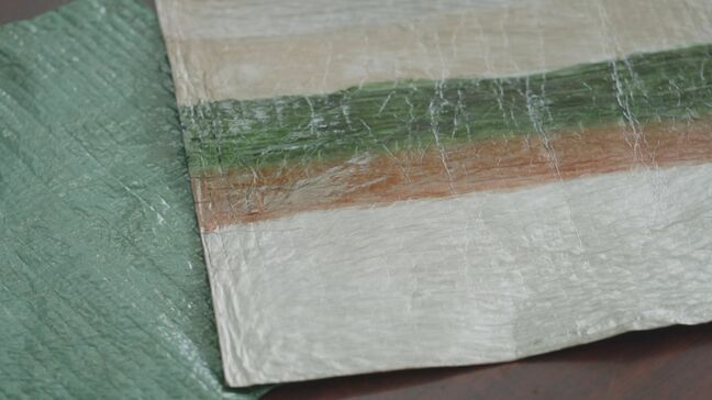 黒糖と緑茶から生まれた「革」が万博へ 化学薬品不使用の100%天然「ビーガンレザー」は国内初 |TBS NEWS DIG