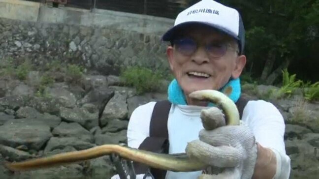 カニやエビを食べて育つ絶品天然ウナギ!愛媛・岩松川で伝統の「石ぐろ漁」が本格化|TBS NEWS DIG