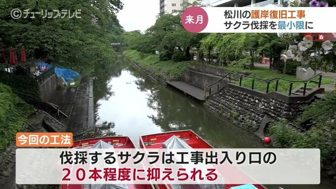 松川べりの復旧工事でサクラが数十本程度の伐採へ　影響は最小限にとどめたい　富山|TBS NEWS DIG