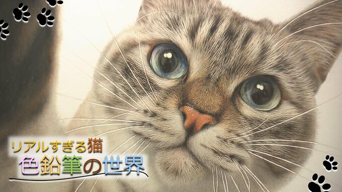 全ネコ好きが歓喜！！かわいくてリアルすぎる「猫」の絵を描く色鉛筆画家・音海はるさん「温かみや癒しを届けたい」　|　山形のニュース│TUYテレビユー山形