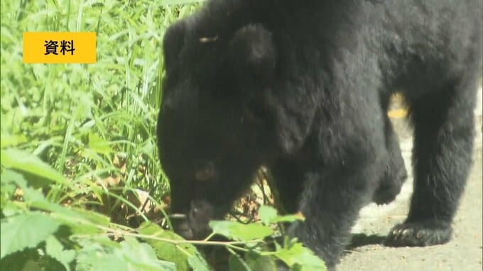 【クマ出没情報】線路上にたたずむ3頭のクマ、汽笛鳴らすと逃走　喜多方市山都町　21日午後7時すぎ　福島|TBS NEWS DIG