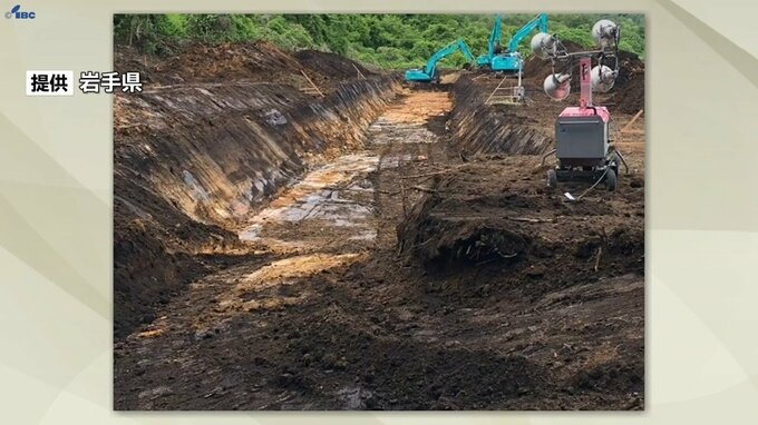 岩手県内初確認の豚熱発生農場で約1万7500頭中16％の殺処分が終了　県職員延べ336人を動員　県建設業協会も協力し埋却溝掘削|TBS NEWS DIG