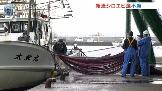 不漁で3回目休漁のシロエビ漁13日ぶりに再開も漁獲量なし 能登半島地震の影響大きく 新湊漁港|TBS NEWS DIG