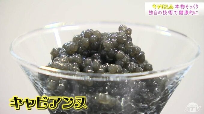 「痛風の方でも安心して食べられる」…高級食材キャビアにそっくりな“キャビアンヌ”とは？　|　青森のニュース│ATV NEWS│青森テレビ