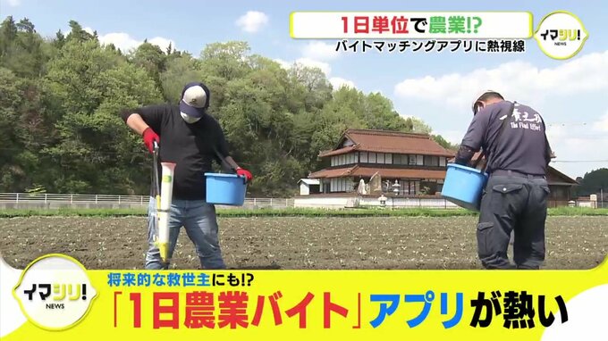 将来的な救世主にも!? 「1日農業バイト」アプリが熱い　|　RCC NEWS | 広島ニュース | RCC中国放送
