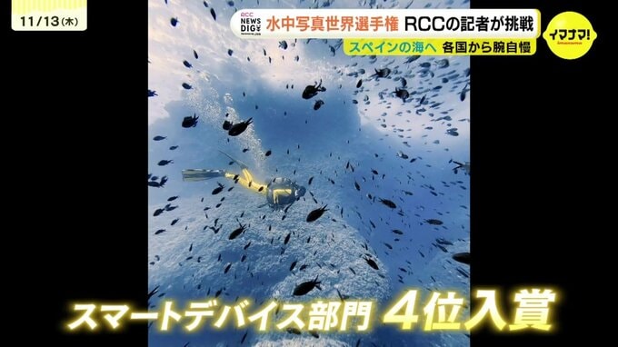 「自分も世界に挑戦できるかも」水中写真の世界選手権　RCC記者が４位に入賞　|　RCC NEWS | 広島ニュース | RCC中国放送