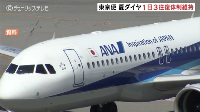 全日空東京便 夏ダイヤ　1日3便往復を維持　期間内は一部の機体大型化で需要に対応　富山　|　富山のニュース｜天気・防災｜チューリップテレビ