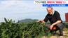 「何だこの甘みは！」日本一の枝豆県  新潟・弥彦村の“幻の枝豆” に惚れ込んだ仕掛け人   半分近くが規格外になる一級品をアップサイクルで特産品に　|　新潟のニュース・天気｜BSN NEWS｜BSN新潟放送