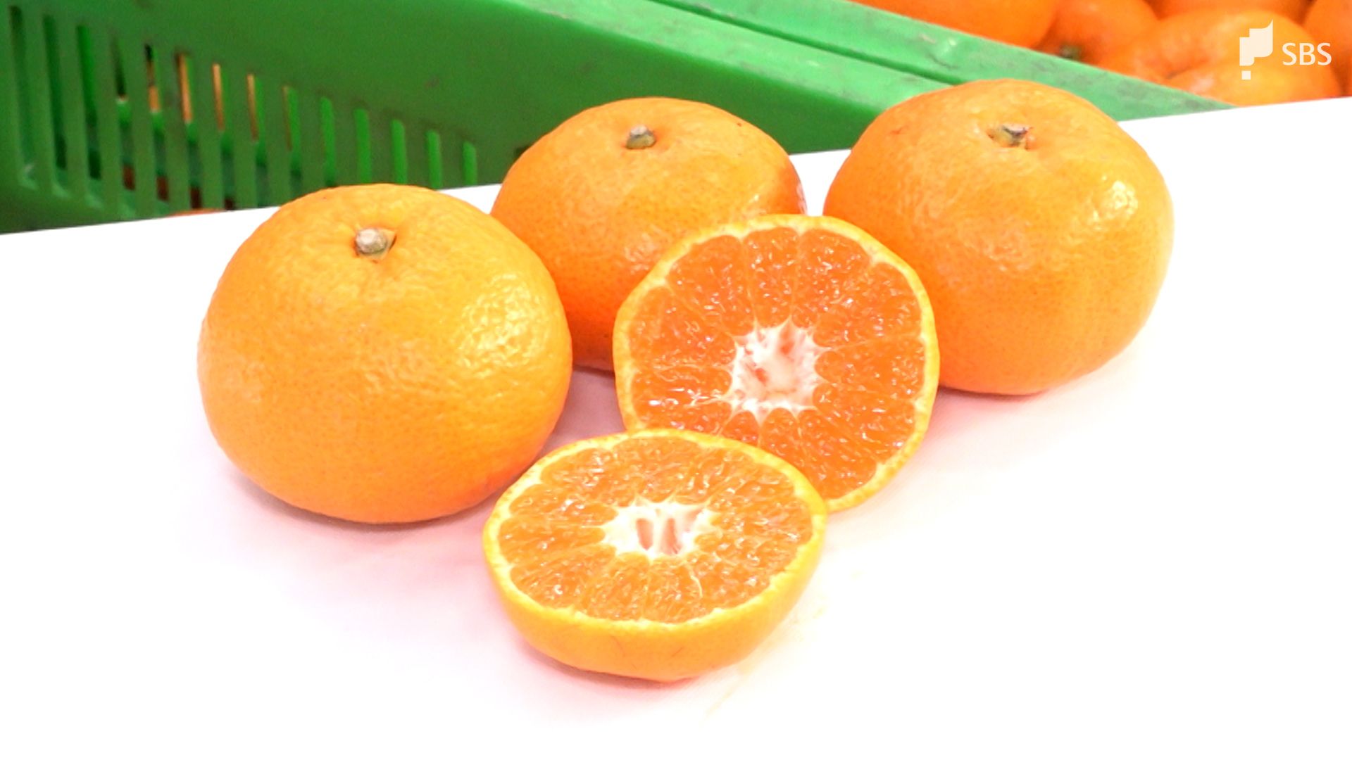 大変おいしいミカンができました」寿太郎みかんの出荷始まる 貯蔵庫で