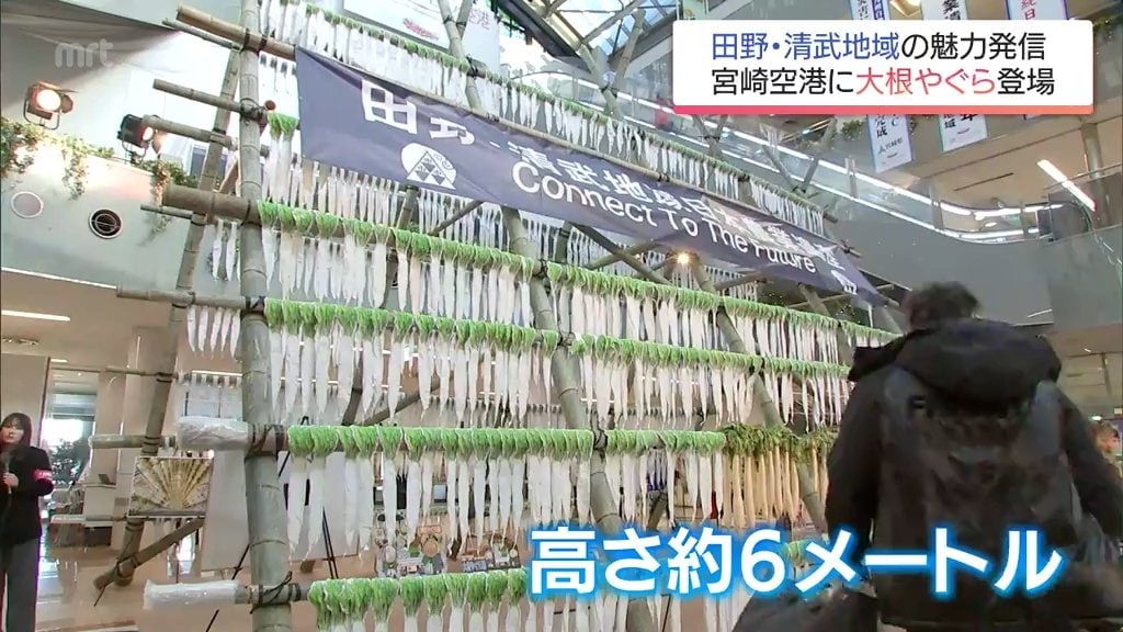 日本農業遺産をPR 高さ6メートルの「大根やぐら」が宮崎空港に登場