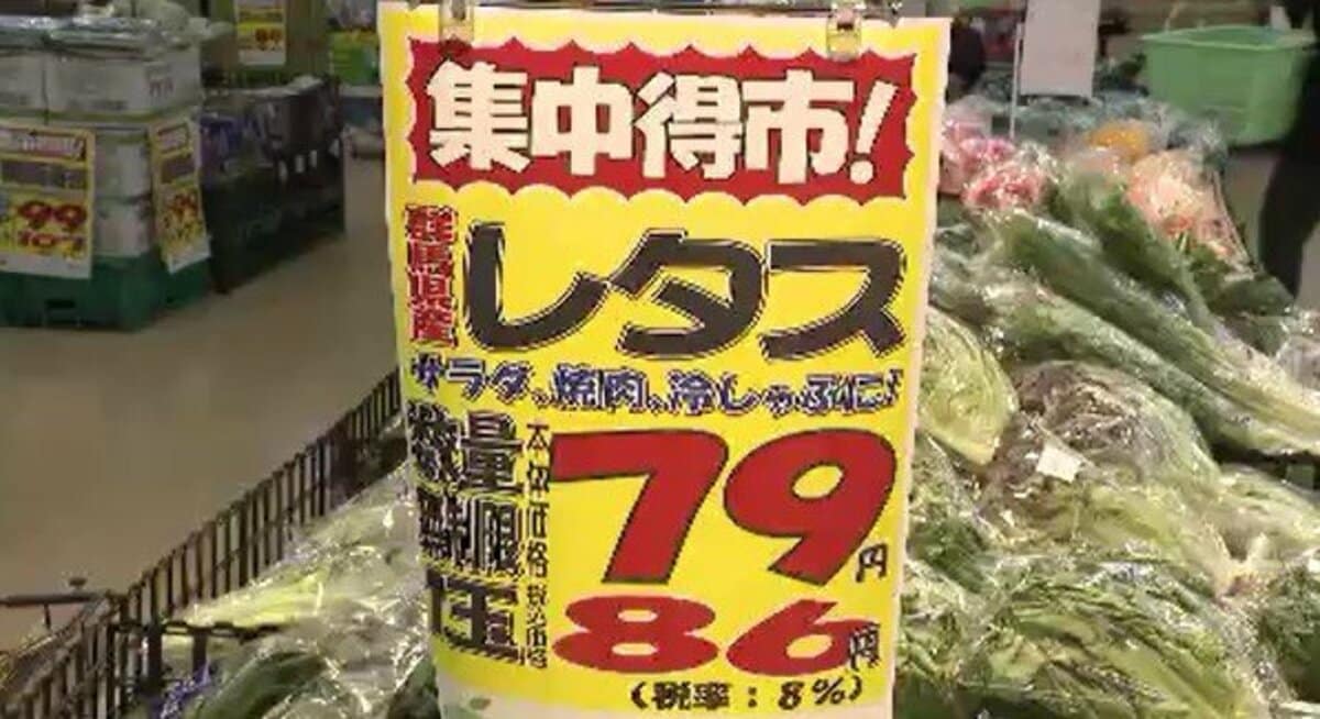 レタス1玉86円！「久々に100円切ったのを見た」葉物野菜が安い!？その