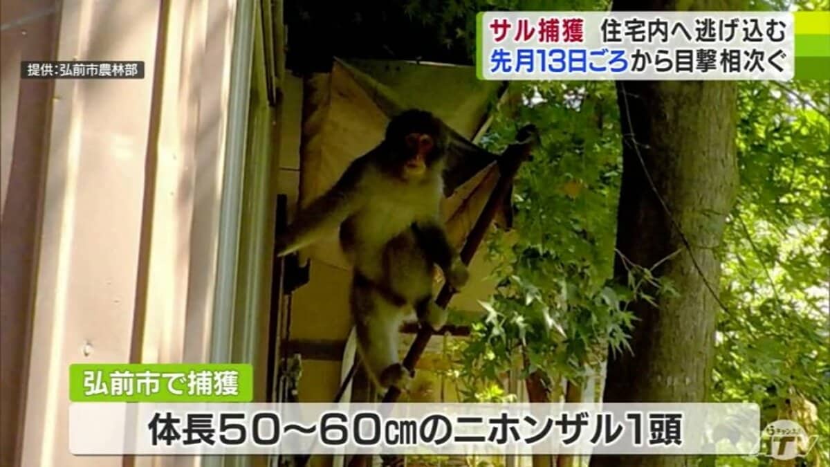 img_b4777474f11ec488784d08f05b