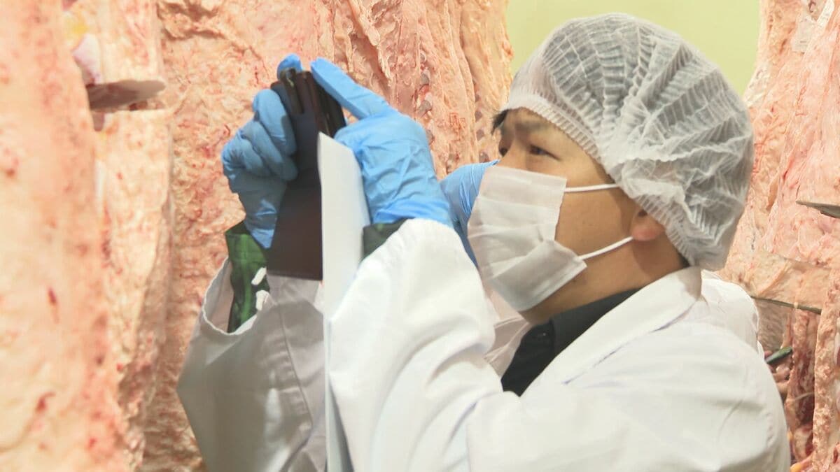 「最高等級の牛を育てたい」和牛オリンピックにかける高校生“うし部”が枝肉を真剣視察　