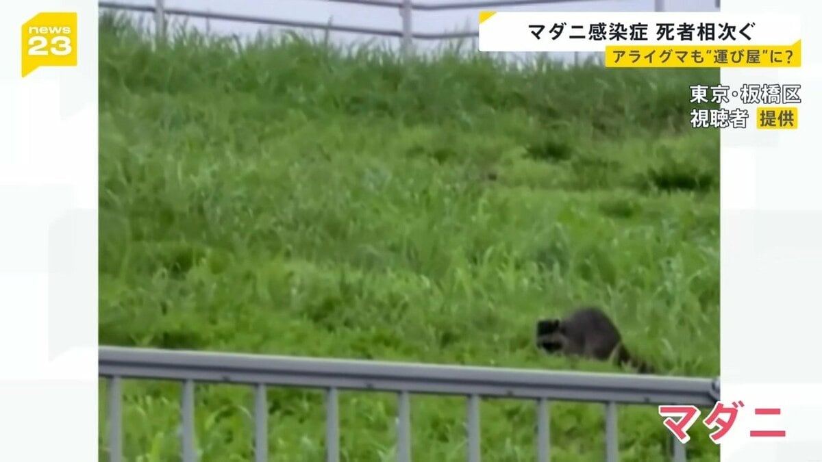 高い致死率“マダニ感染症” 西日本中心から関東地方にも… 専門家「野生動物が運び屋の可能性」 感染を防ぐ対策は？【news23】（TBS NEWS  DIG）｜ｄメニューニュース（NTTドコモ）