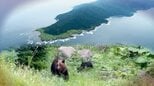 襲撃したのは「人を避けない」ヒグマ 26歳男性が犠牲になった背景に何が?地元には止まぬ苦情「なぜ子グマを殺した」“世界自然遺産”知床に横たわる課題|TBS NEWS DIG