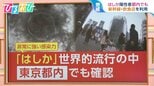 「1人から12人以上に感染」世界的流行の『はしか』都内でも確認 ワクチン回数に年齢で差【ひるおび】|TBS NEWS DIG