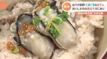 東京湾産のカキが新たな名物に？東京湾育ちの新ブランド「月夜牡蠣」　一番のおすすめは「おでん出汁」の土鍋ご飯|TBS NEWS DIG