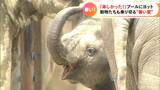 動物たちも乗り切る“暑い夏” ヨットの子ども「海、最高っす!」 園児たちはミストにプール | 名古屋・愛知・岐阜・三重のニュース【CBC news】 | CBC web
