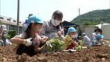 「焼き芋にして食べたい」高校生とこども園の園児が交流 サツマイモのつるさしに挑戦(静岡県) | 静岡のニュース | SBSNEWS | 静岡放送